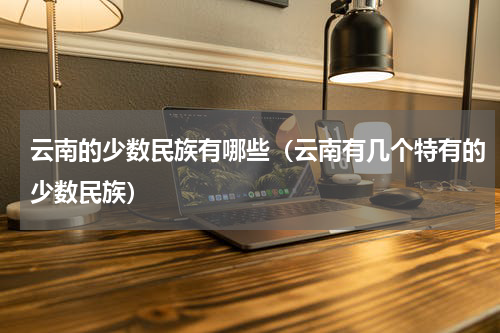 云南的少数民族有哪些（云南有几个特有的少数民族）