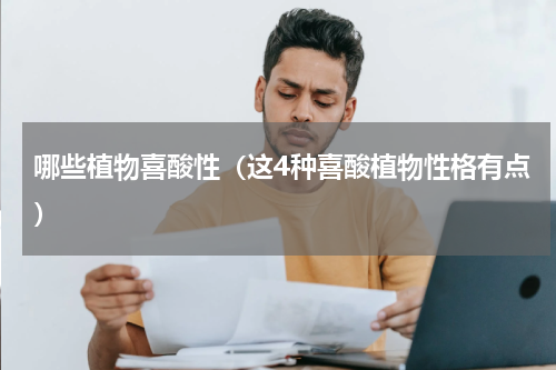 哪些植物喜酸性（这4种喜酸植物性格有点）