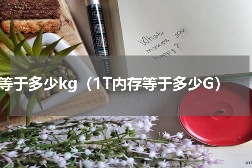 1t等于多少kg（1T内存等于多少G）