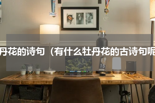 牡丹花的诗句（有什么牡丹花的古诗句呢）