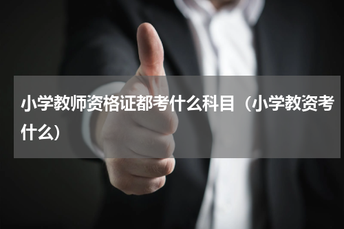 小学教师资格证都考什么科目（小学教资考什么）