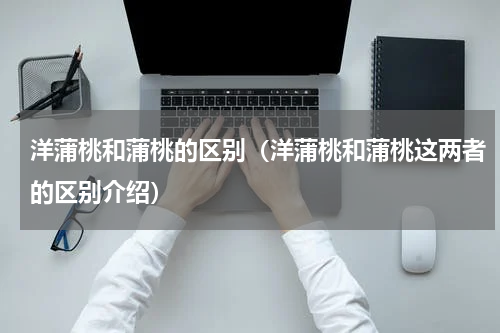 洋蒲桃和蒲桃的区别（洋蒲桃和蒲桃这两者的区别介绍）