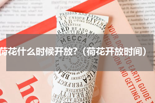 荷花什么时候开放?（荷花开放时间）