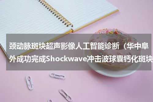 颈动脉斑块超声影像人工智能诊断（华中阜外成功完成Shockwave冲击波球囊钙化斑块碎裂术）