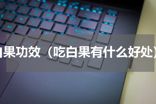 白果功效（吃白果有什么好处）