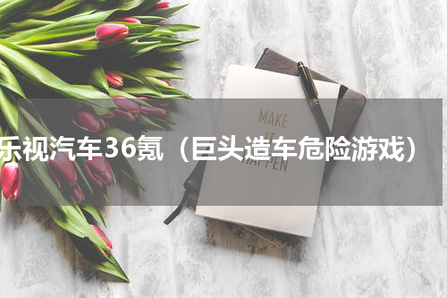 乐视汽车36氪（巨头造车危险游戏）