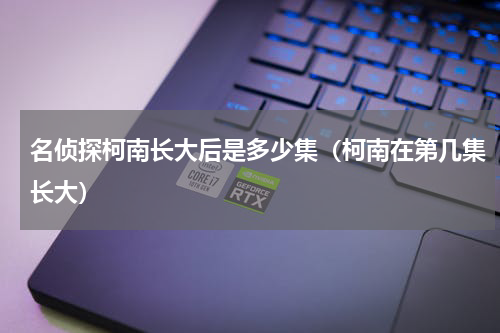 名侦探柯南长大后是多少集（柯南在第几集长大）