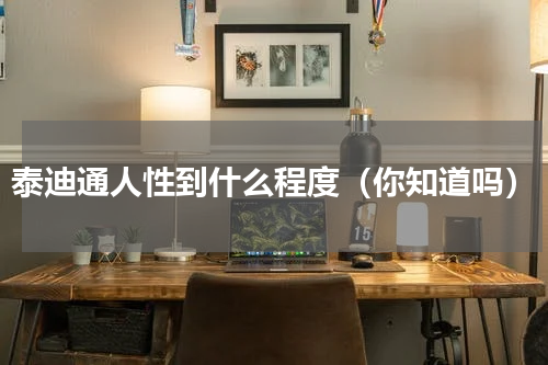 泰迪通人性到什么程度（你知道吗）