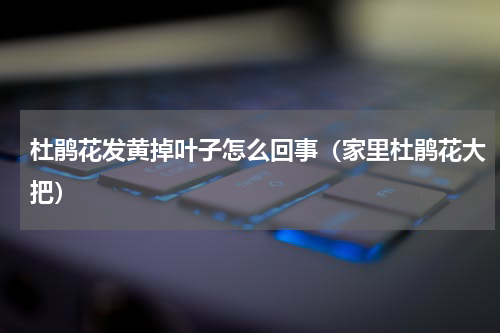 杜鹃花发黄掉叶子怎么回事（家里杜鹃花大把）