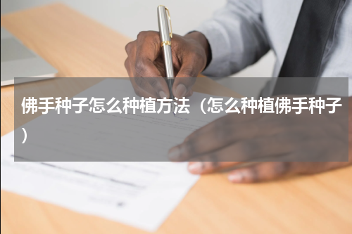 佛手种子怎么种植方法（怎么种植佛手种子）