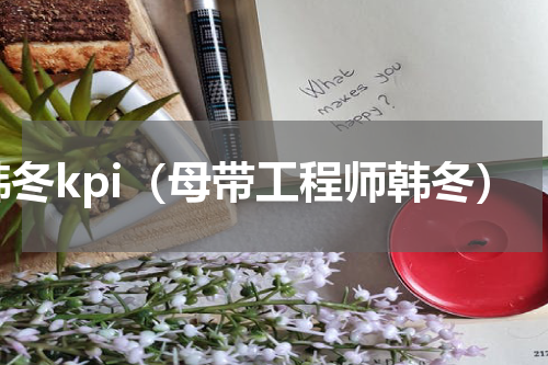 韩冬kpi（母带工程师韩冬）