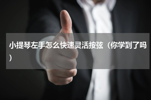 小提琴左手怎么快速灵活按弦（你学到了吗）