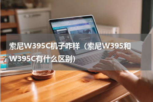 索尼W395C机子咋样（索尼W395和W395C有什么区别）