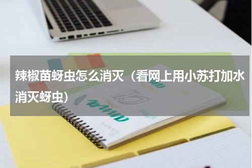 辣椒苗蚜虫怎么消灭（看网上用小苏打加水消灭蚜虫）