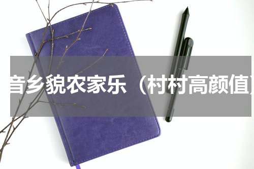 乡音乡貌农家乐（村村高颜值）
