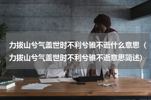 力拔山兮气盖世时不利兮骓不逝什么意思（力拔山兮气盖世时不利兮骓不逝意思简述）