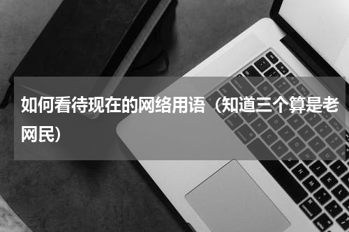 如何看待现在的网络用语（知道三个算是老网民）