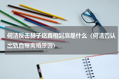 何洁反击赫子铭真相到底是什么（何洁否认出轨自曝离婚原因）