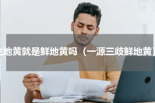 生地黄就是鲜地黄吗（一源三歧鲜地黄）