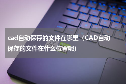 cad自动保存的文件在哪里（CAD自动保存的文件在什么位置呢）