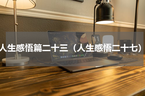 人生感悟篇二十三（人生感悟二十七）