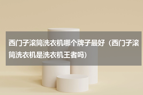 西门子滚筒洗衣机哪个牌子最好（西门子滚筒洗衣机是洗衣机王者吗）