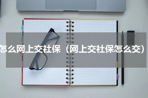 怎么网上交社保（网上交社保怎么交）