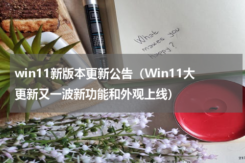 win11新版本更新公告（Win11大更新又一波新功能和外观上线）