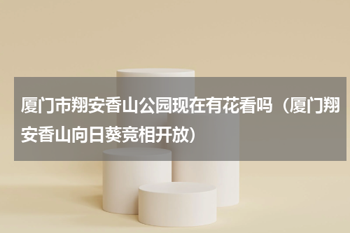 厦门市翔安香山公园现在有花看吗（厦门翔安香山向日葵竞相开放）