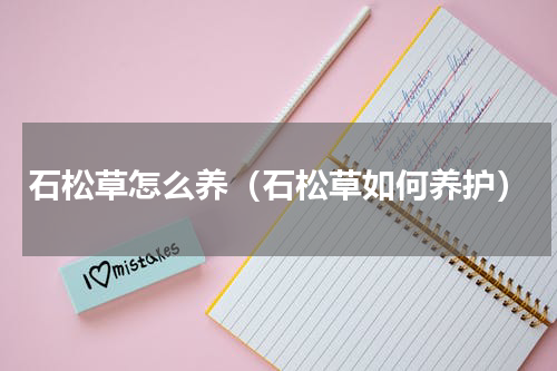 石松草怎么养（石松草如何养护）