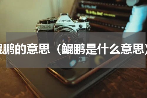鲲鹏的意思（鲲鹏是什么意思）