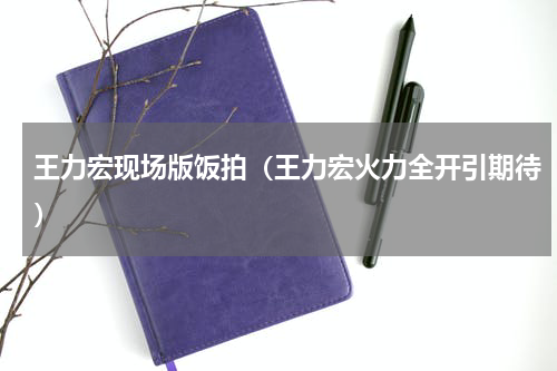 王力宏现场版饭拍（王力宏火力全开引期待）