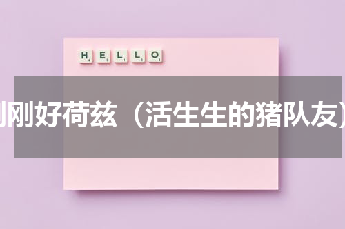 刚刚好荷兹（活生生的猪队友）