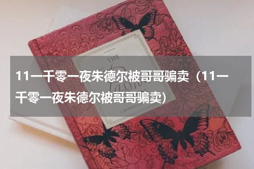 11一千零一夜朱德尔被哥哥骗卖（11一千零一夜朱德尔被哥哥骗卖）