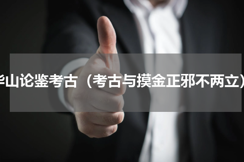 华山论鉴考古（考古与摸金正邪不两立）