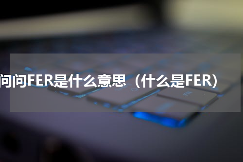 请问问FER是什么意思（什么是FER）