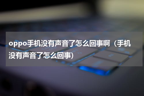 oppo手机没有声音了怎么回事啊（手机没有声音了怎么回事）