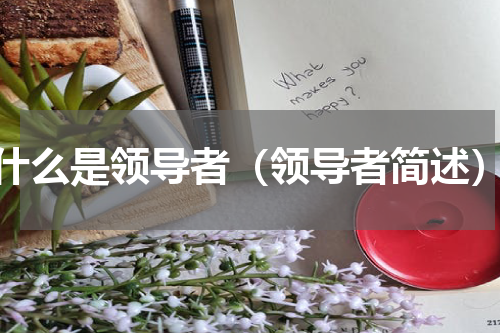 什么是领导者（领导者简述）