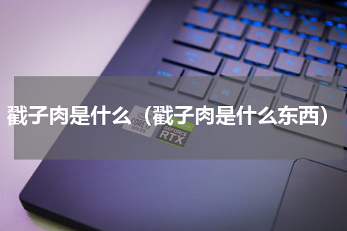 戳子肉是什么（戳子肉是什么东西）