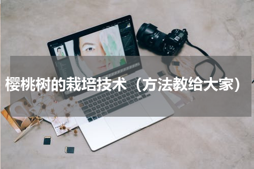 樱桃树的栽培技术（方法教给大家）