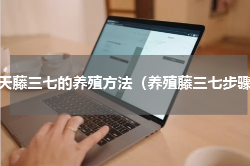 冬天藤三七的养殖方法（养殖藤三七步骤）