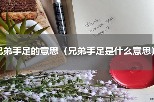 兄弟手足的意思（兄弟手足是什么意思）