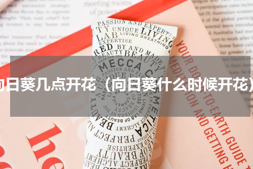 向日葵几点开花（向日葵什么时候开花）