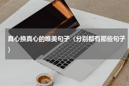 真心换真心的唯美句子（分别都有那些句子）