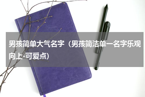 男孩简单大气名字（男孩简洁单一名字乐观向上-可爱点）