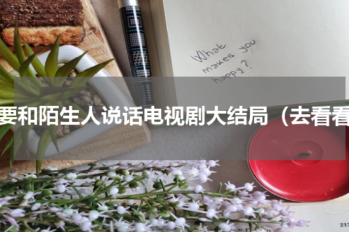 不要和陌生人说话电视剧大结局（去看看）