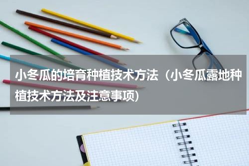 小冬瓜的培育种植技术方法（小冬瓜露地种植技术方法及注意事项）