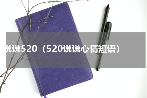 说说520（520说说心情短语）