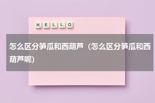 怎么区分笋瓜和西葫芦（怎么区分笋瓜和西葫芦呢）
