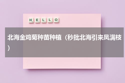 北海金鸡菊种苗种植（秒批北海引来凤满枝）